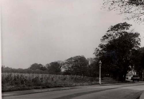 Field, now Crispe Park
